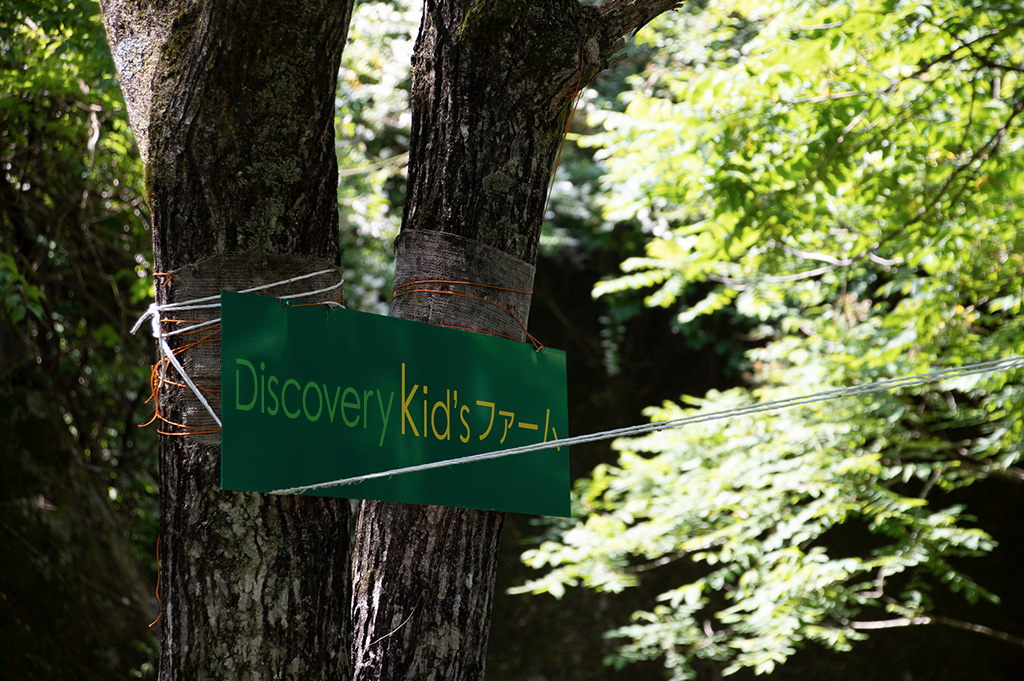 ディスカバリープロジェクト猪名川|児童発達支援・放課後等デイサービス