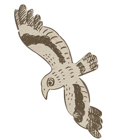 ディスカバリー号