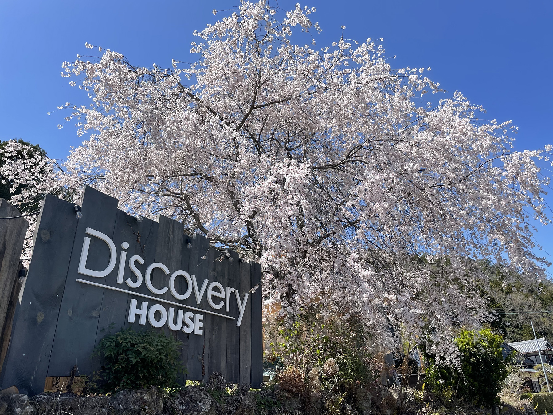 ディスカバにニースとモナコがやってきた！