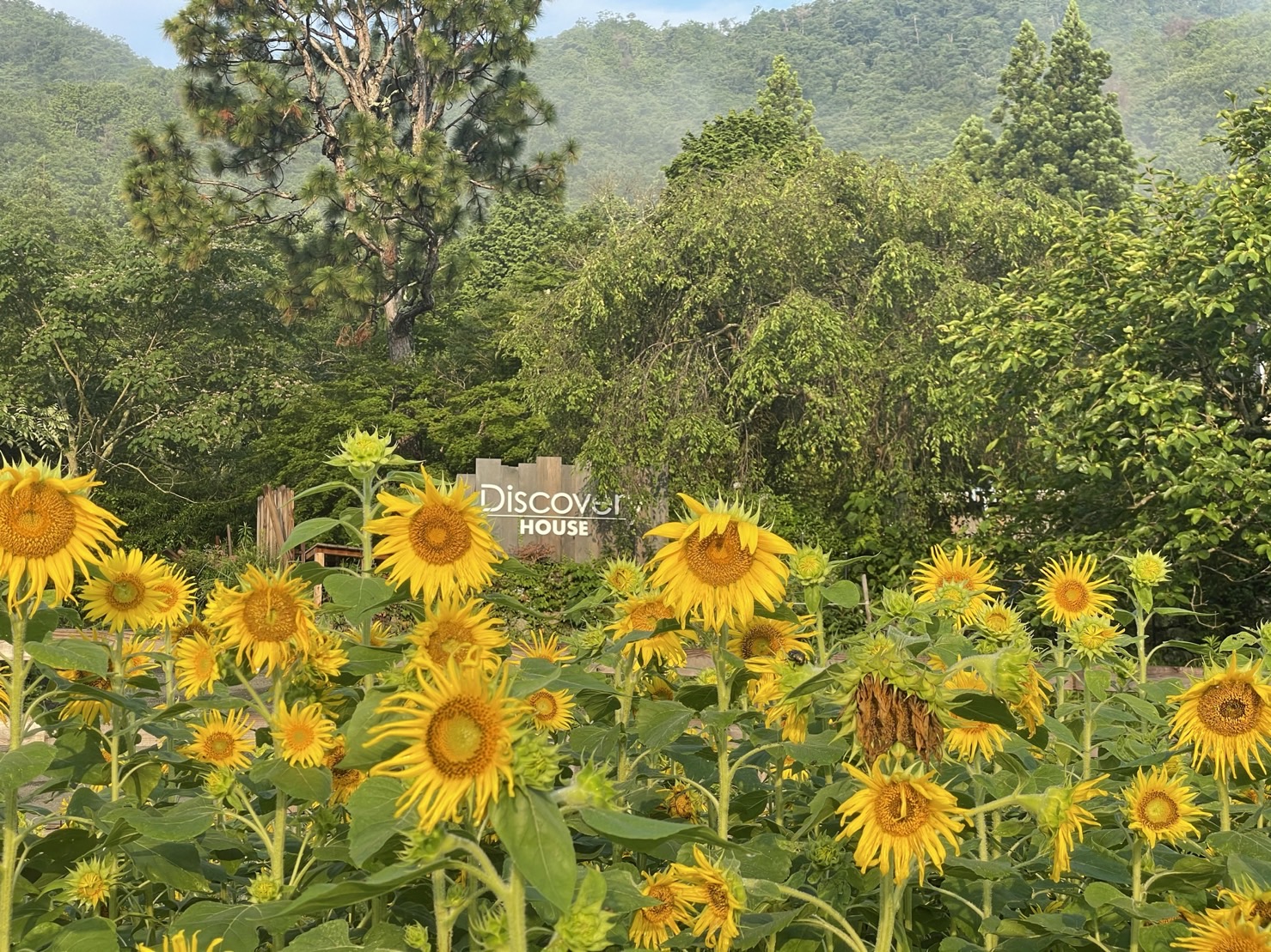 ZOOM見学 by ディスカバリースポーツ