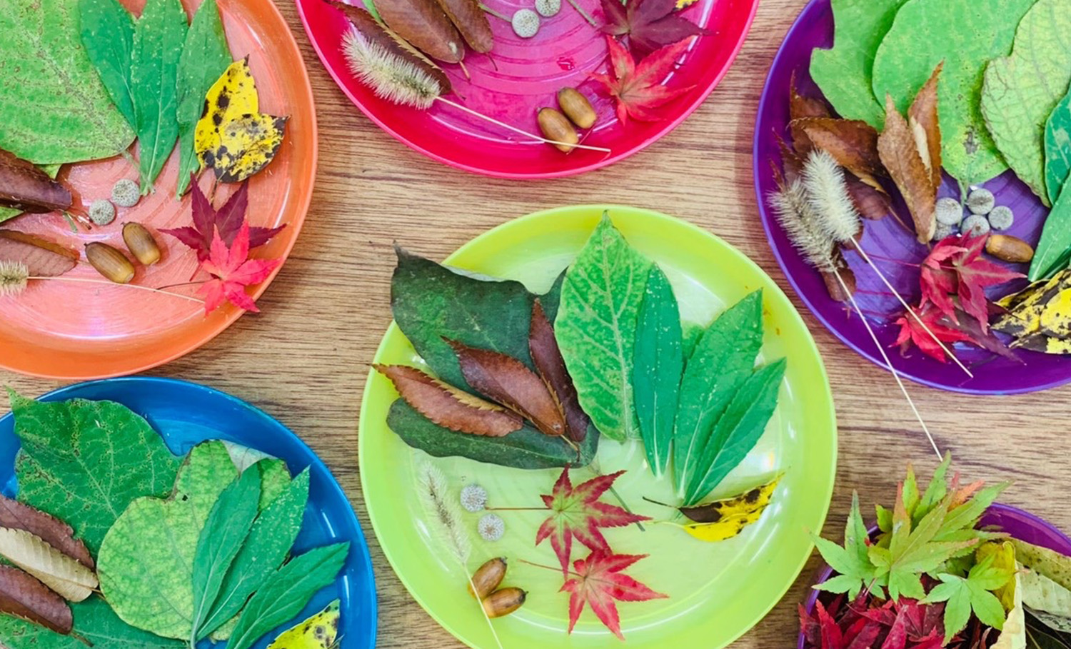 ディスカバリークラフト