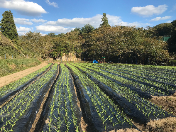 猪名川町の自然を活かした療育プログラムが強み