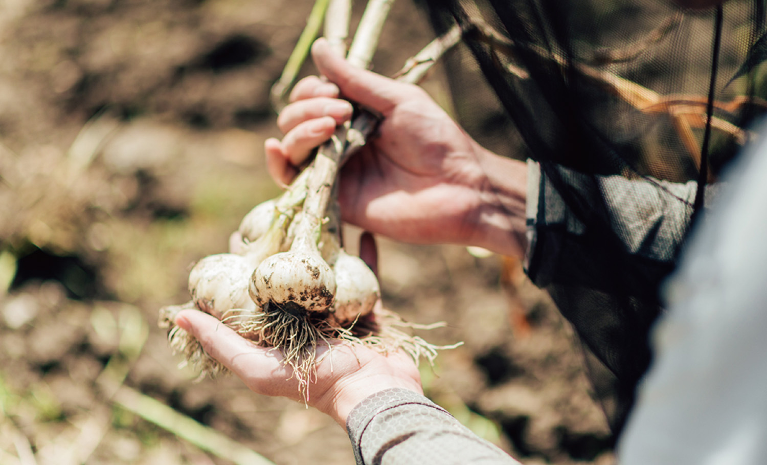 【社長のhitorigoto】0から1…