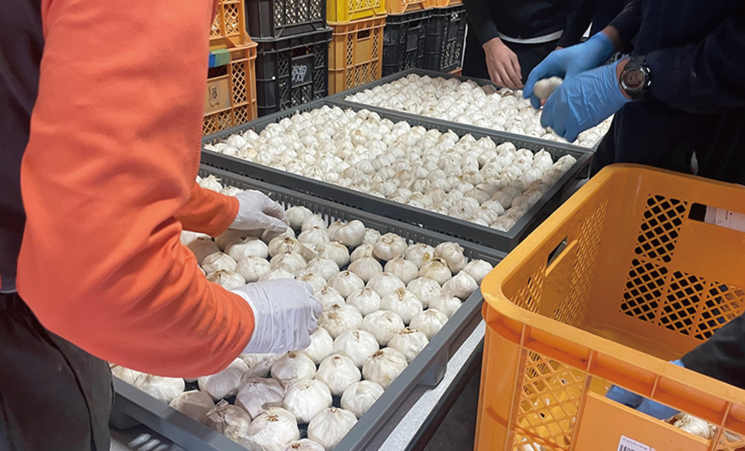 ディスカバリーリゾート