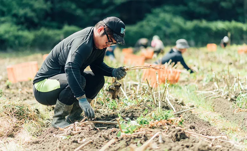ディスカバリースポーツ