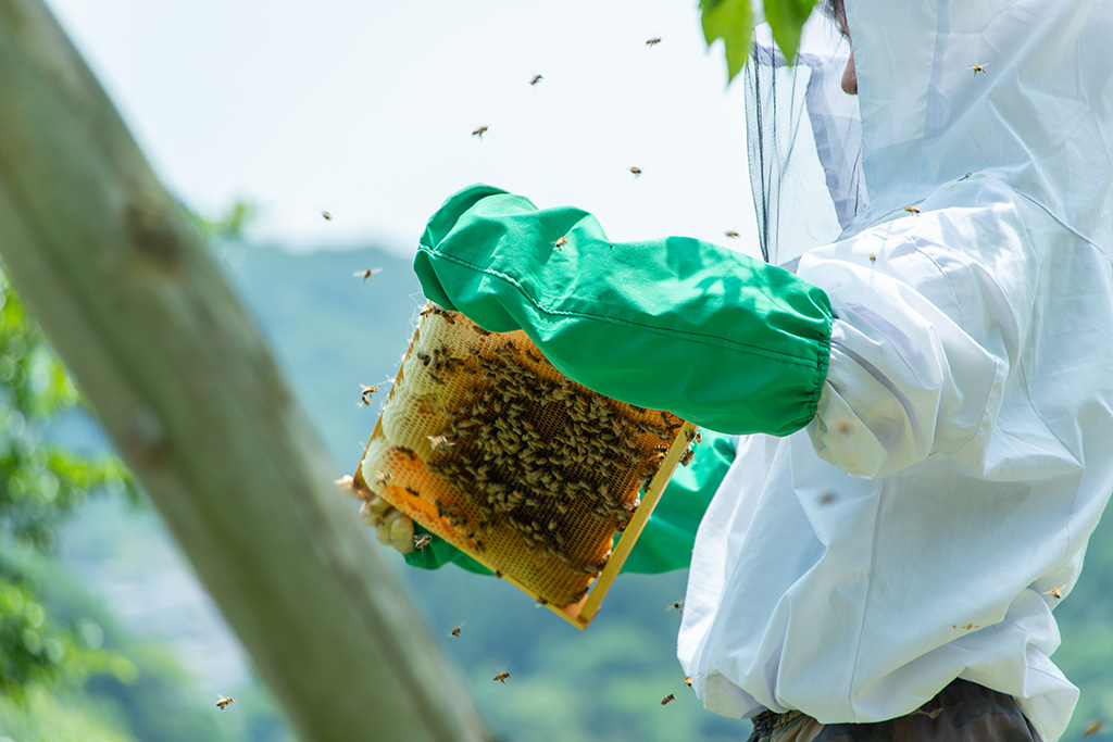 ディスカバリープロジェクト